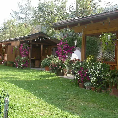 Kristall 3* 브람베르크 암 빌트코겔