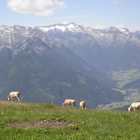 Konukevi Kristall 3*